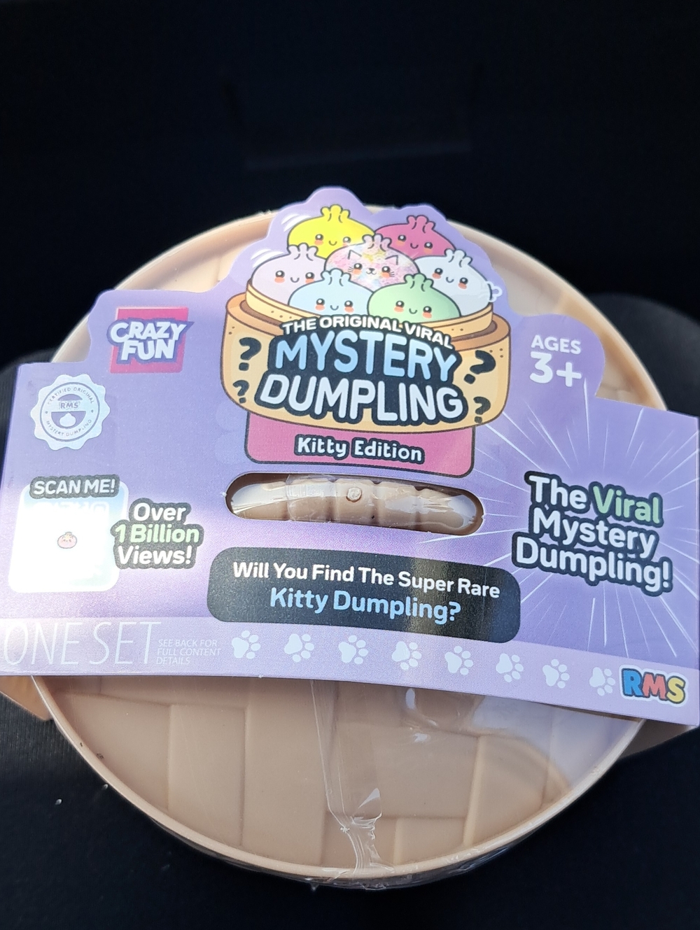 Mystery Dumpling Kitty Edition Collectible Toy - Purple Packaging
